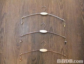 森美模特兒衣架公司 專業(yè)衣架與寵物衣架解決方案